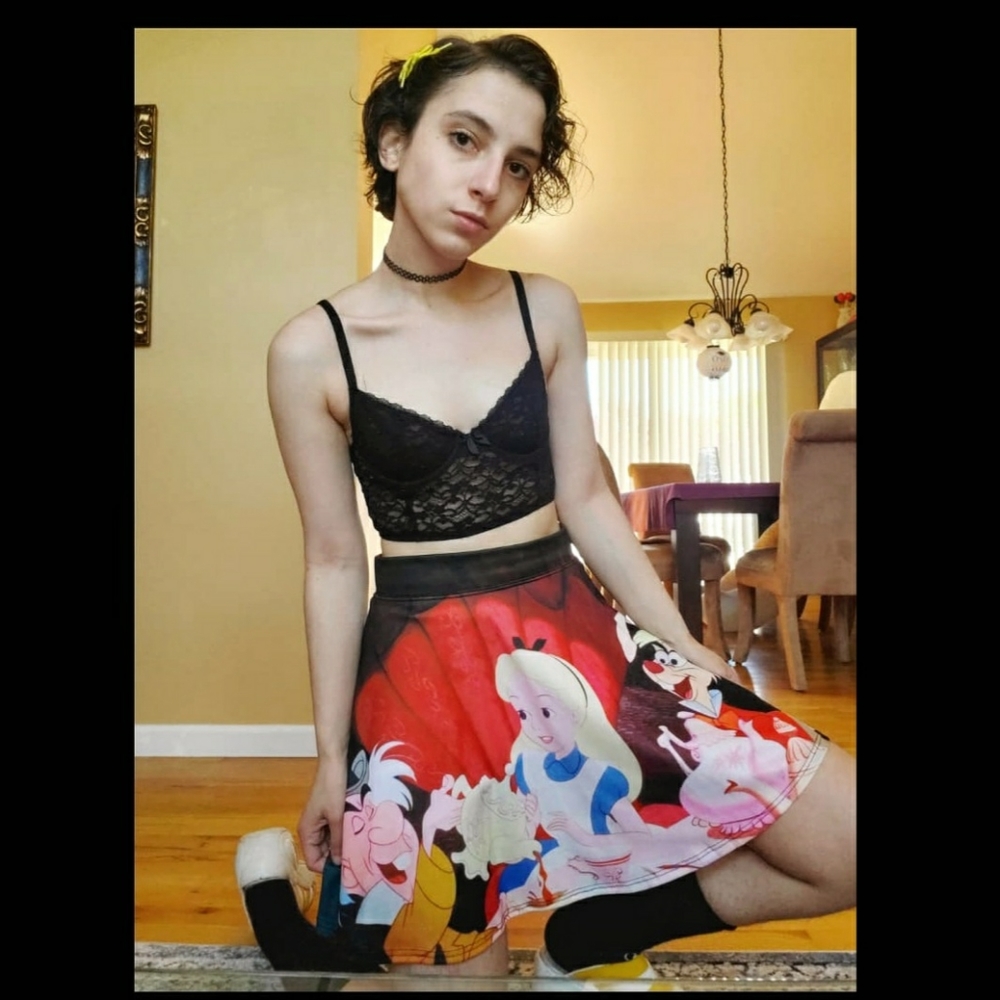 Alice in Wonderland Skater Circle Skirt